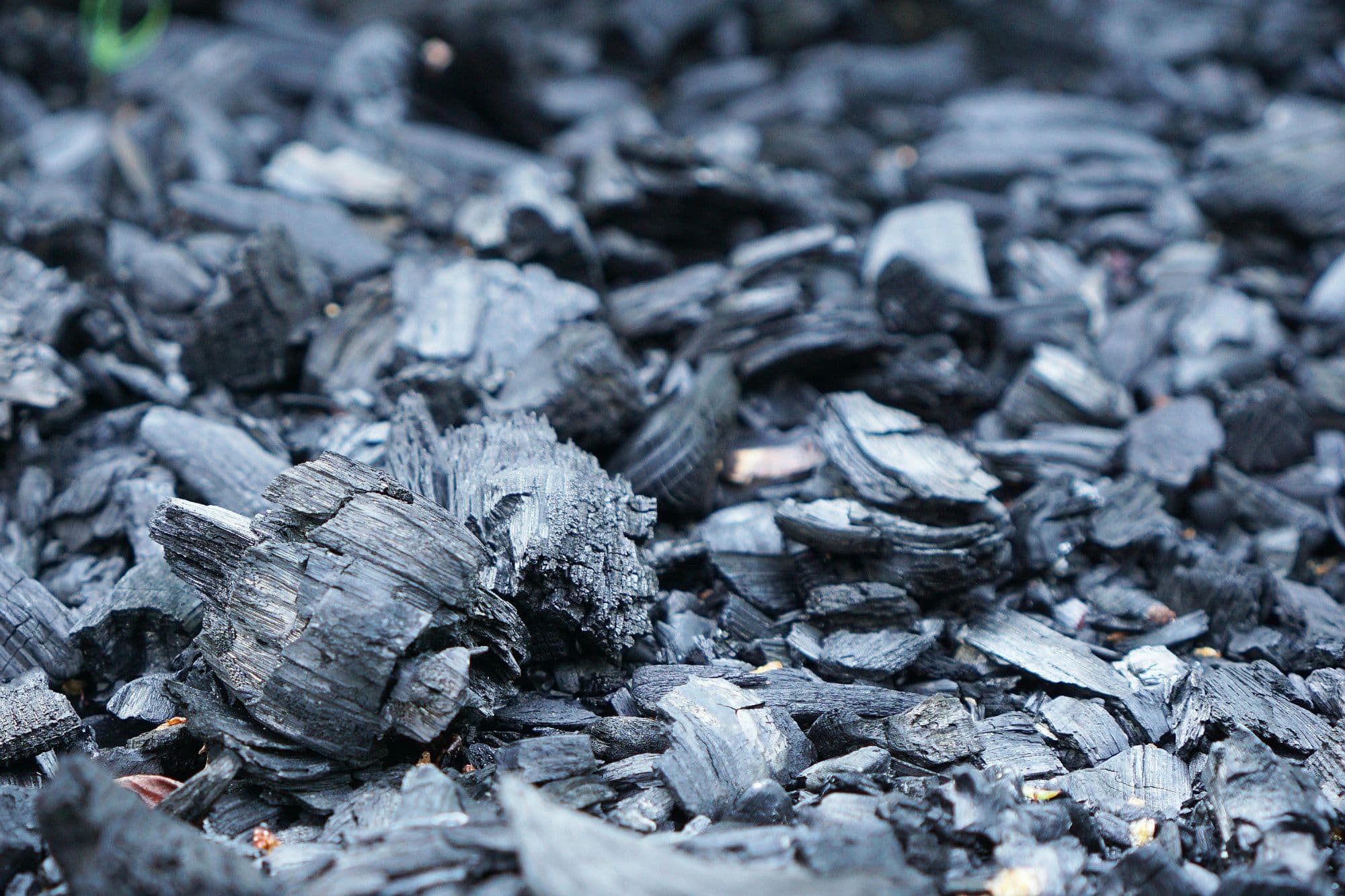 Premium charcoal products showcase